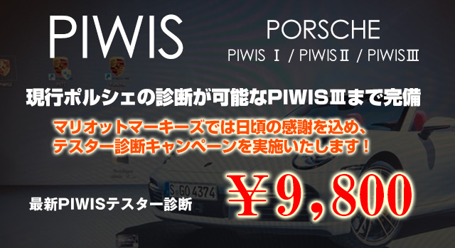 PIWISテスター診断